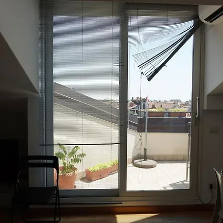 Sunlight